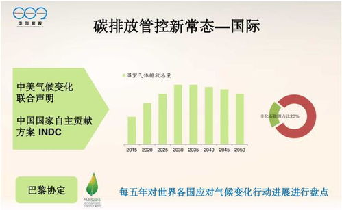 大型控排企業(yè)碳資產(chǎn)管理體系建設(shè)與優(yōu)化策略